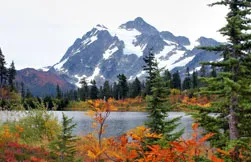 background information, wa